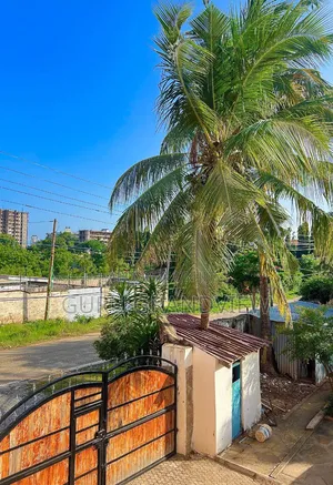 Nyali 1bedroom Airbnb