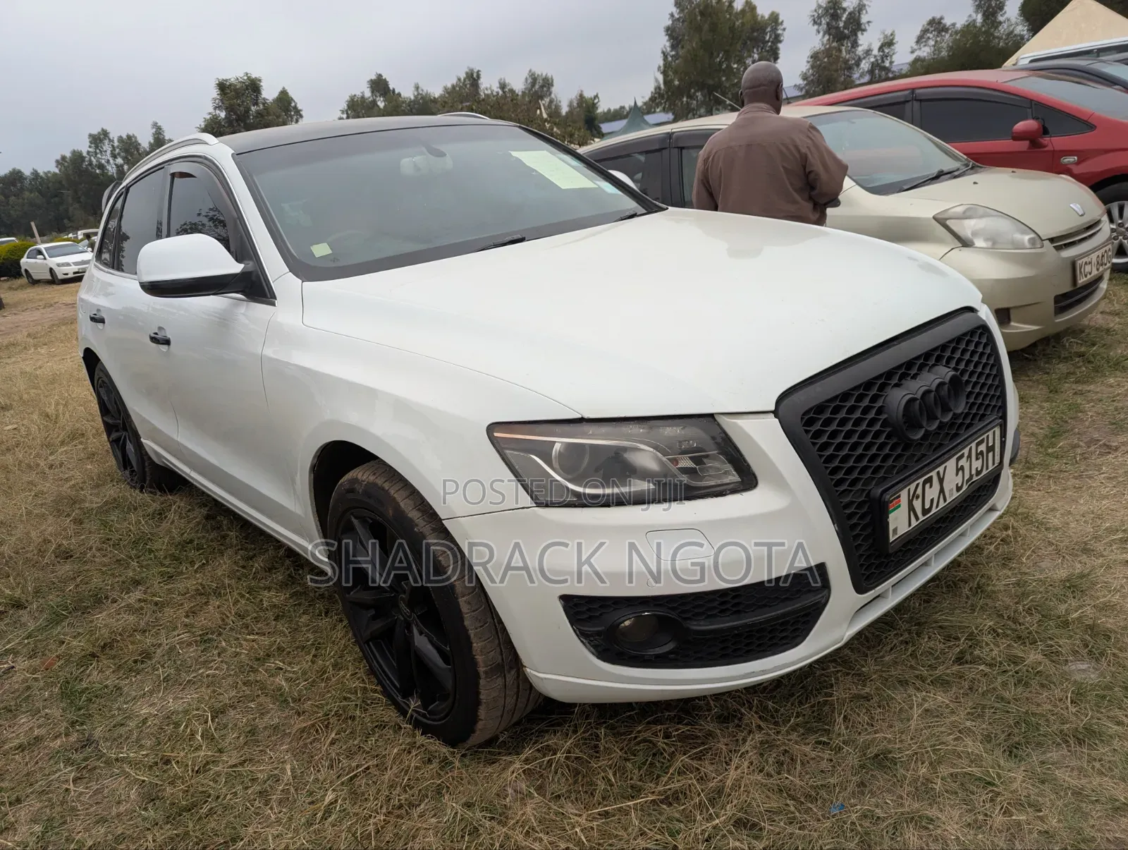 Audi Q5 2012 White