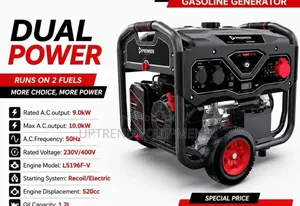 Dual Power Generator/10kv Gasoline Generator