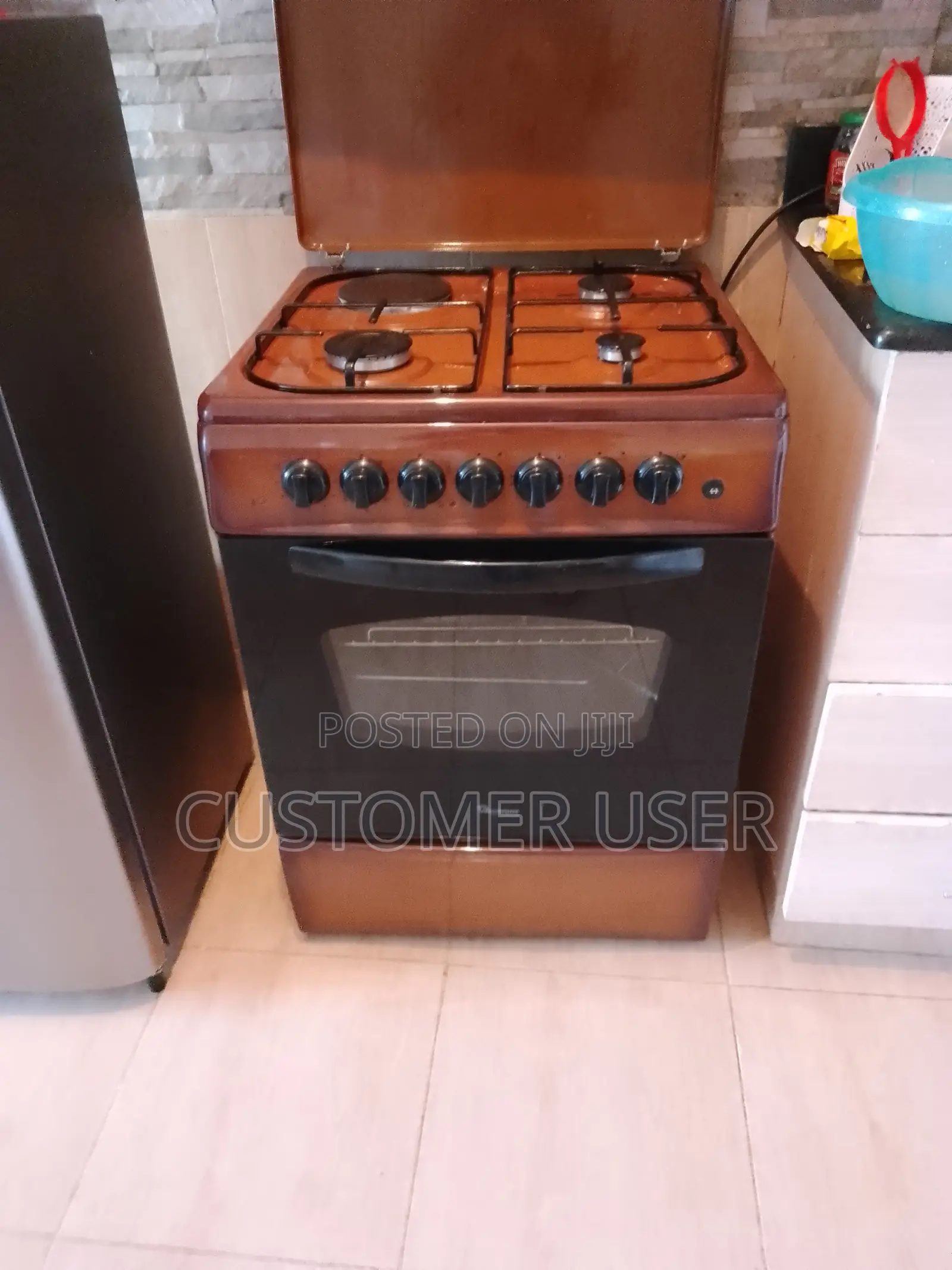 Ramtons Oven Cooker