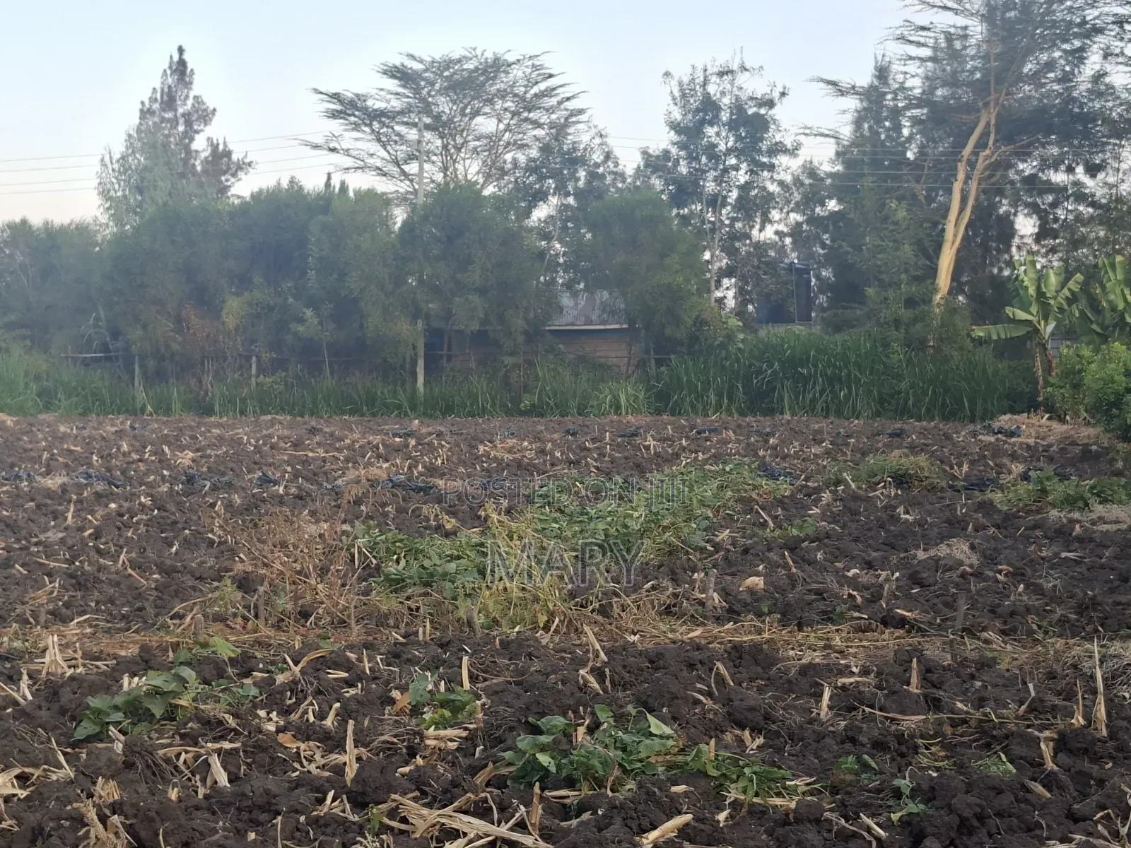 Plots for Sale in Kware Mutalia Area.
