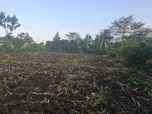 Plots for Sale in Kware Mutalia Area.