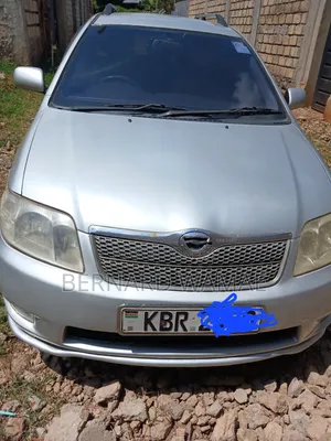 Toyota Corolla Fielder 2006 Silver