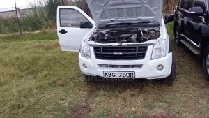 Isuzu Tougher 2009 White