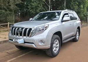 Toyota Land Cruiser Prado 2013 Gray