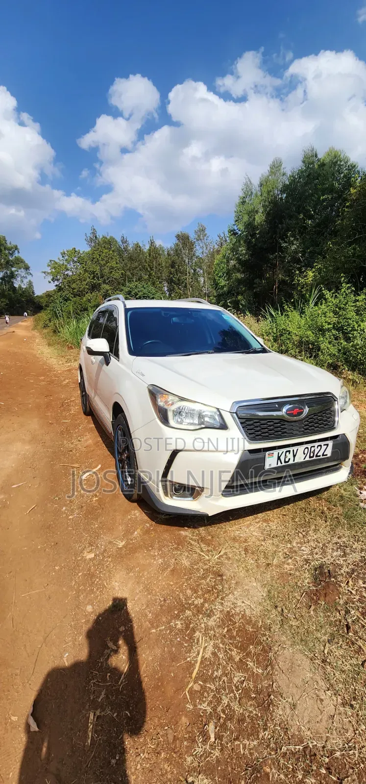 Subaru Forester 2013 Pearl