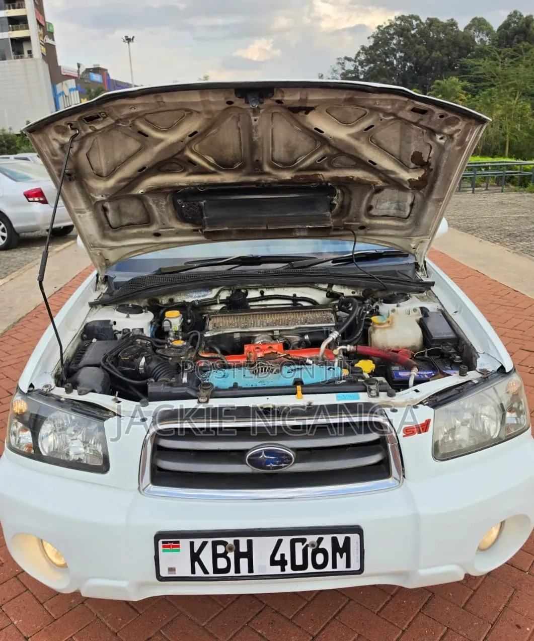 Subaru Forester 2005 White