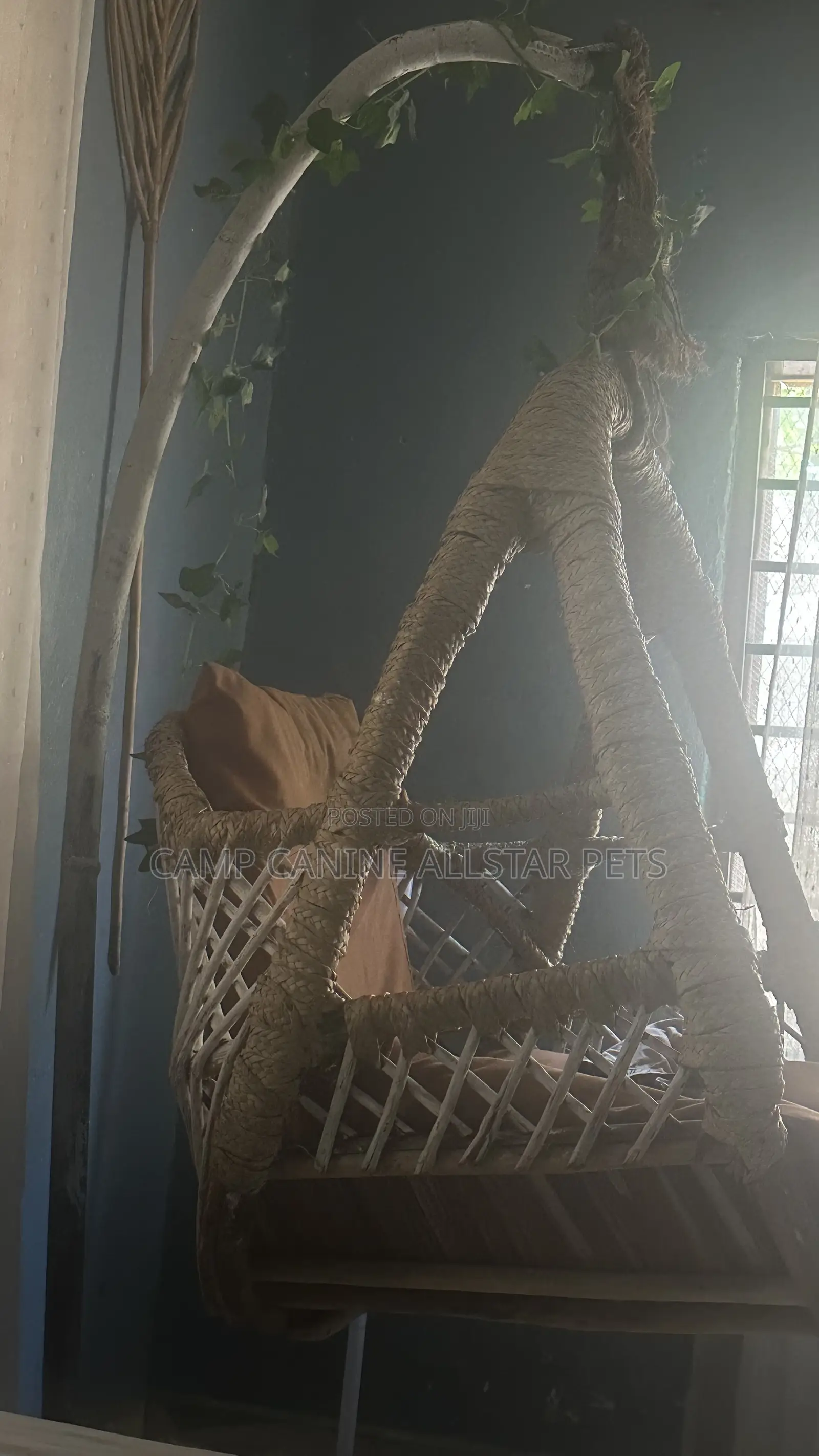 Hammock Swing