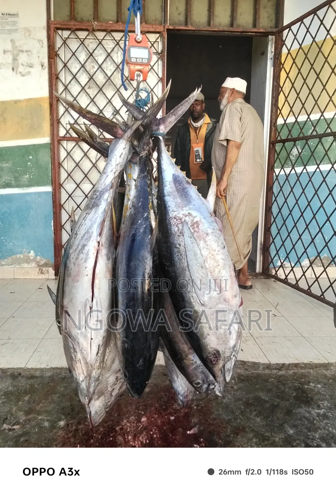 Brand New 2026 Fishing Boat for Rent