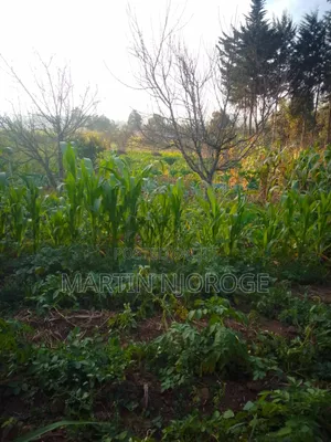 3⁄4 Plot Kwamathore, Uplands