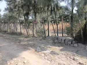 50*70 Plots for Sale in Ruai Kamulu. Prime Land in Residential Area
