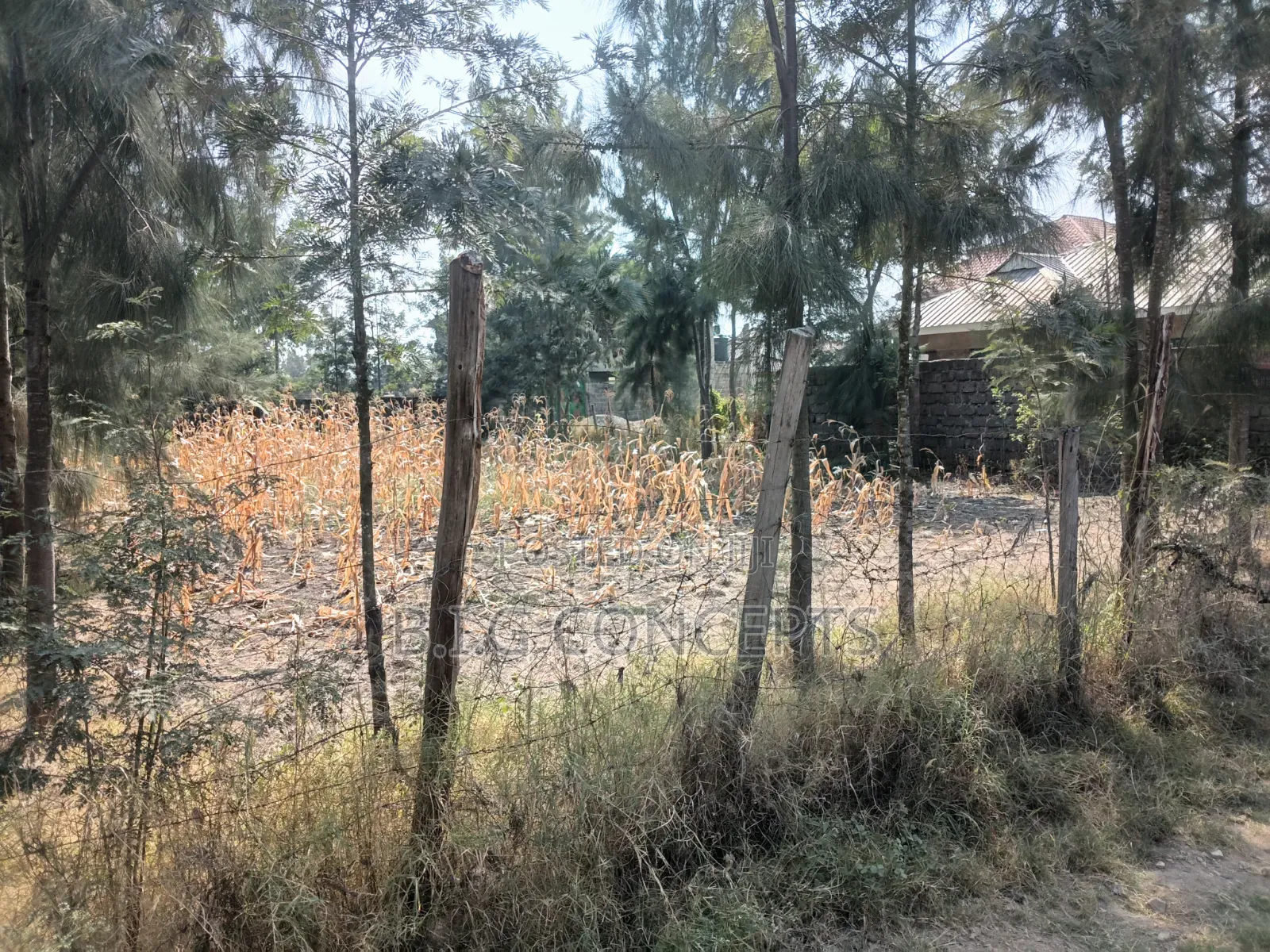 50*70 Plots for Sale in Ruai Kamulu. Prime Land in Residential Area
