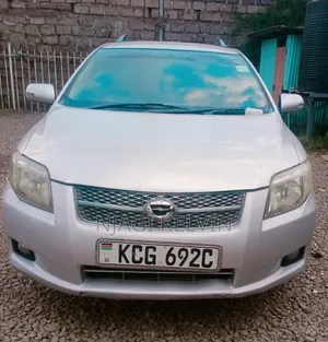 Toyota Corolla Fielder 2009 Silver