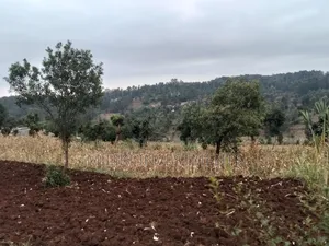 2.5 Acres on Sale at Kenol -Kabati