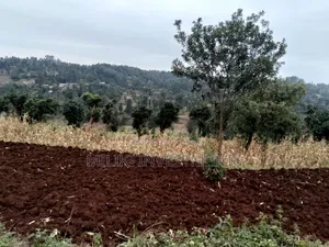 2.5 Acres on Sale at Kenol -Kabati