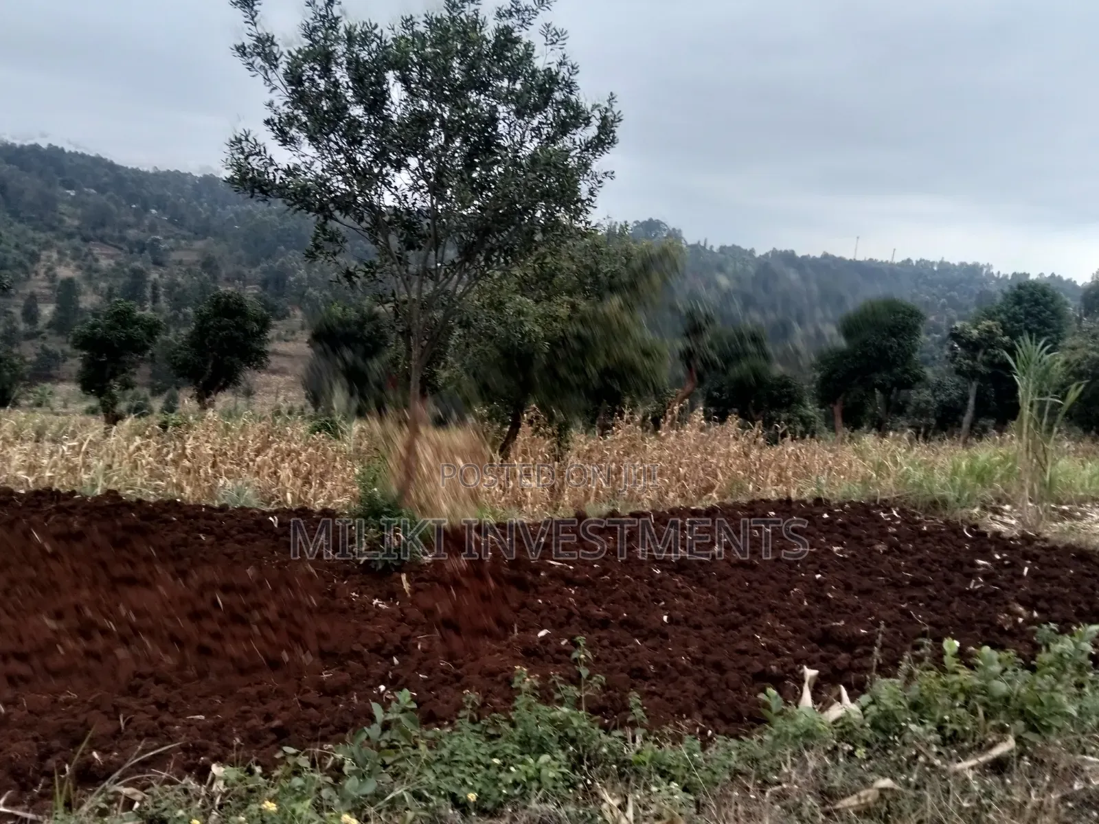 2.5 Acres on Sale at Kenol -Kabati