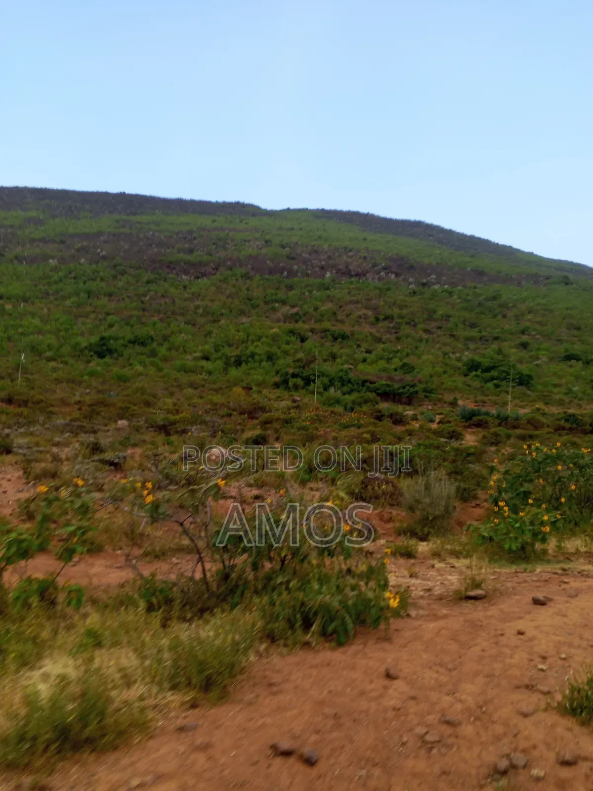 10 Acres in Ruamburi Ndeiya Ideal for Hotel
