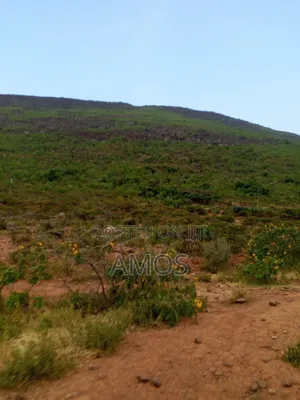 10 Acres in Ruamburi Ndeiya Ideal for Hotel