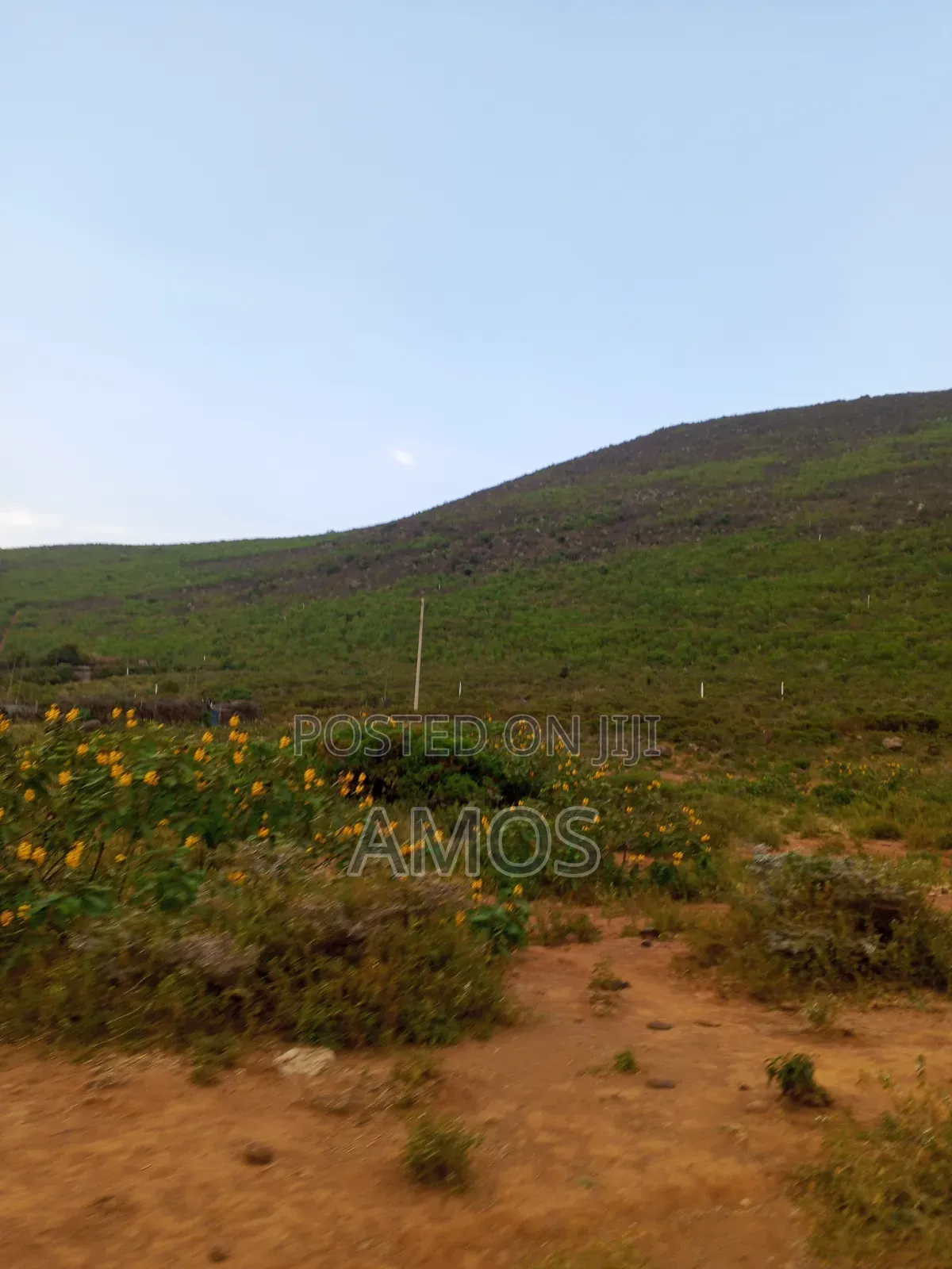 10 Acres in Ruamburi Ndeiya Ideal for Hotel