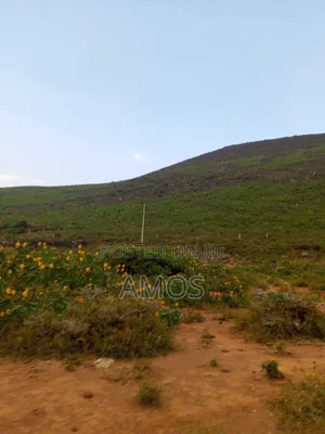 10 Acres in Ruamburi Ndeiya Ideal for Hotel