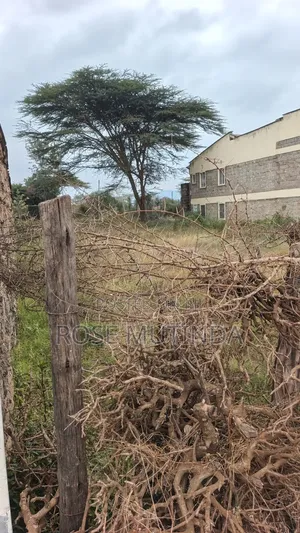 50 by 100 at Kenyaisrael