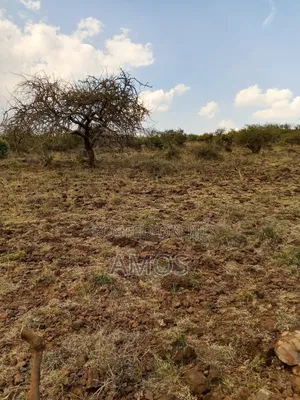 5.2 Acres Land for Sale in Ndeiya Nguirubi Karera Area.
