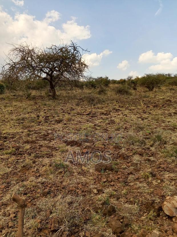 5.2 Acres Land for Sale in Ndeiya Nguirubi Karera Area.