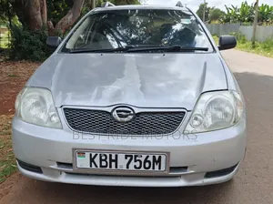 Toyota Corolla Fielder 2003 Silver