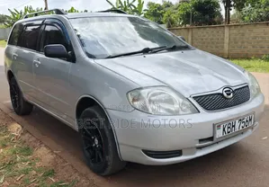 Toyota Corolla Fielder 2003 Silver