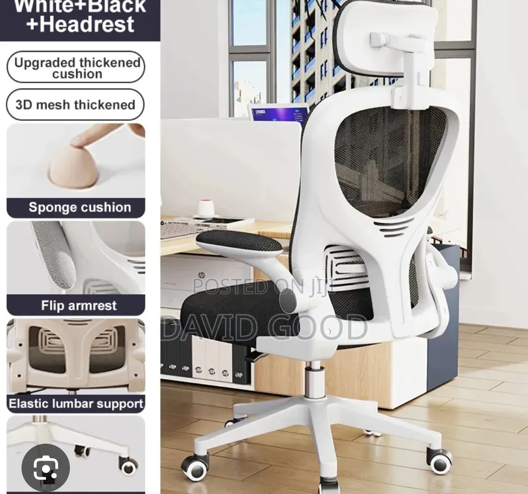 White Adjustable Hight Chair