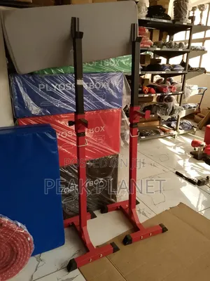 Home Gym Squat Rack – Adjustable Heavy Duty Stand