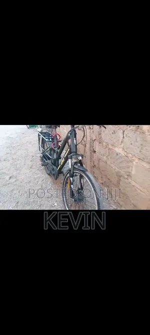 Ebee Electric Bike
