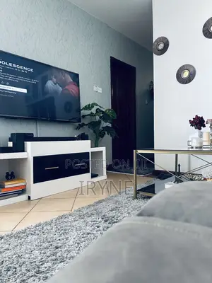 55 Inch Television Sony Bravia