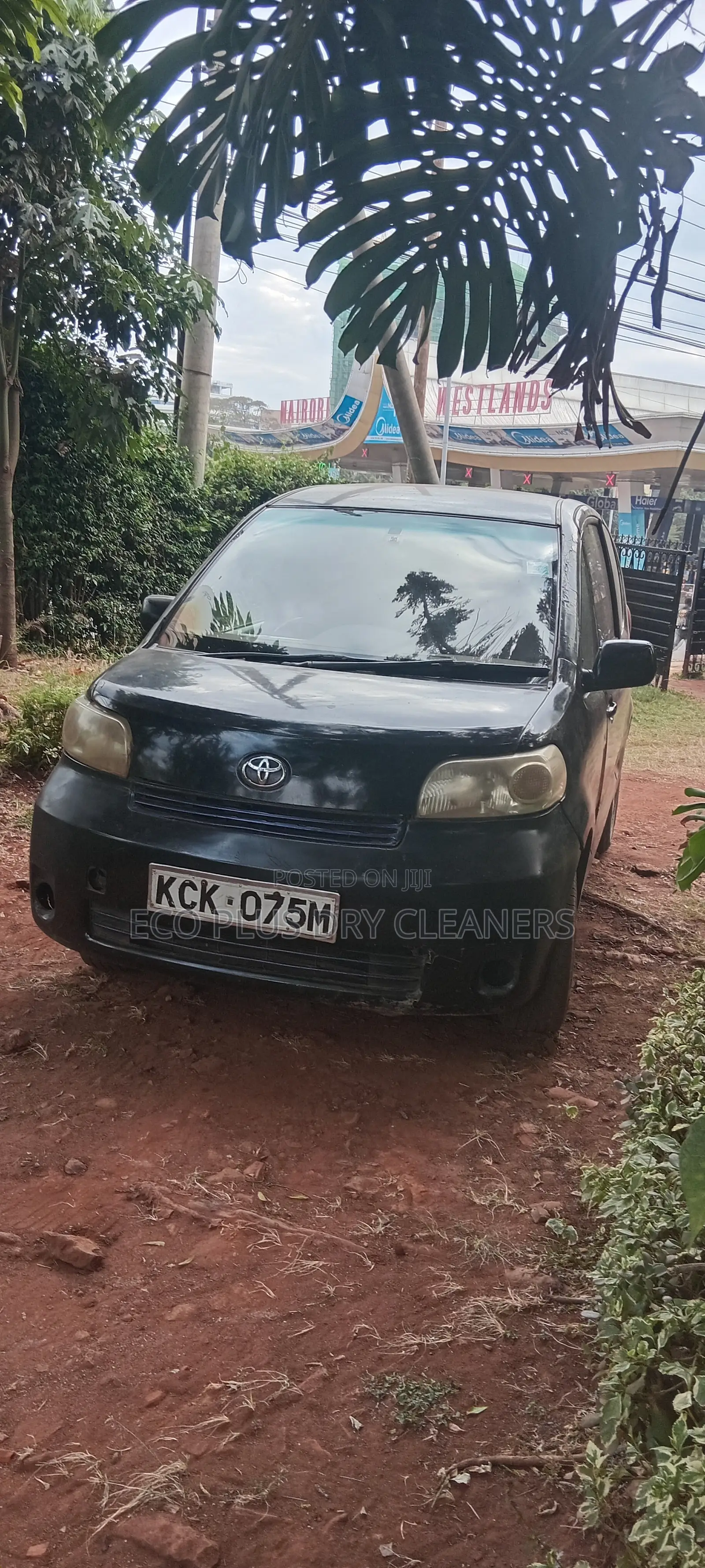 Toyota Porte 2009 Black