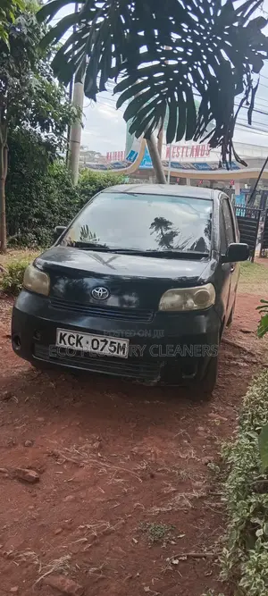 Toyota Porte 2009 Black