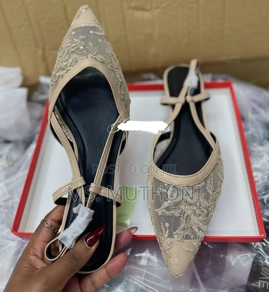 Ladies Floral Lace Embroidery and a Chic Pointed-Toe Flat Shoes