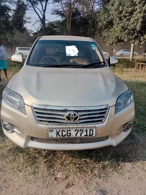 Toyota Vanguard 2009 Beige