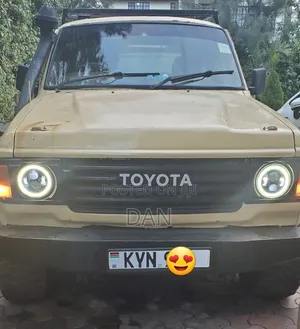 Toyota Land Cruiser Wagon 1981 Beige