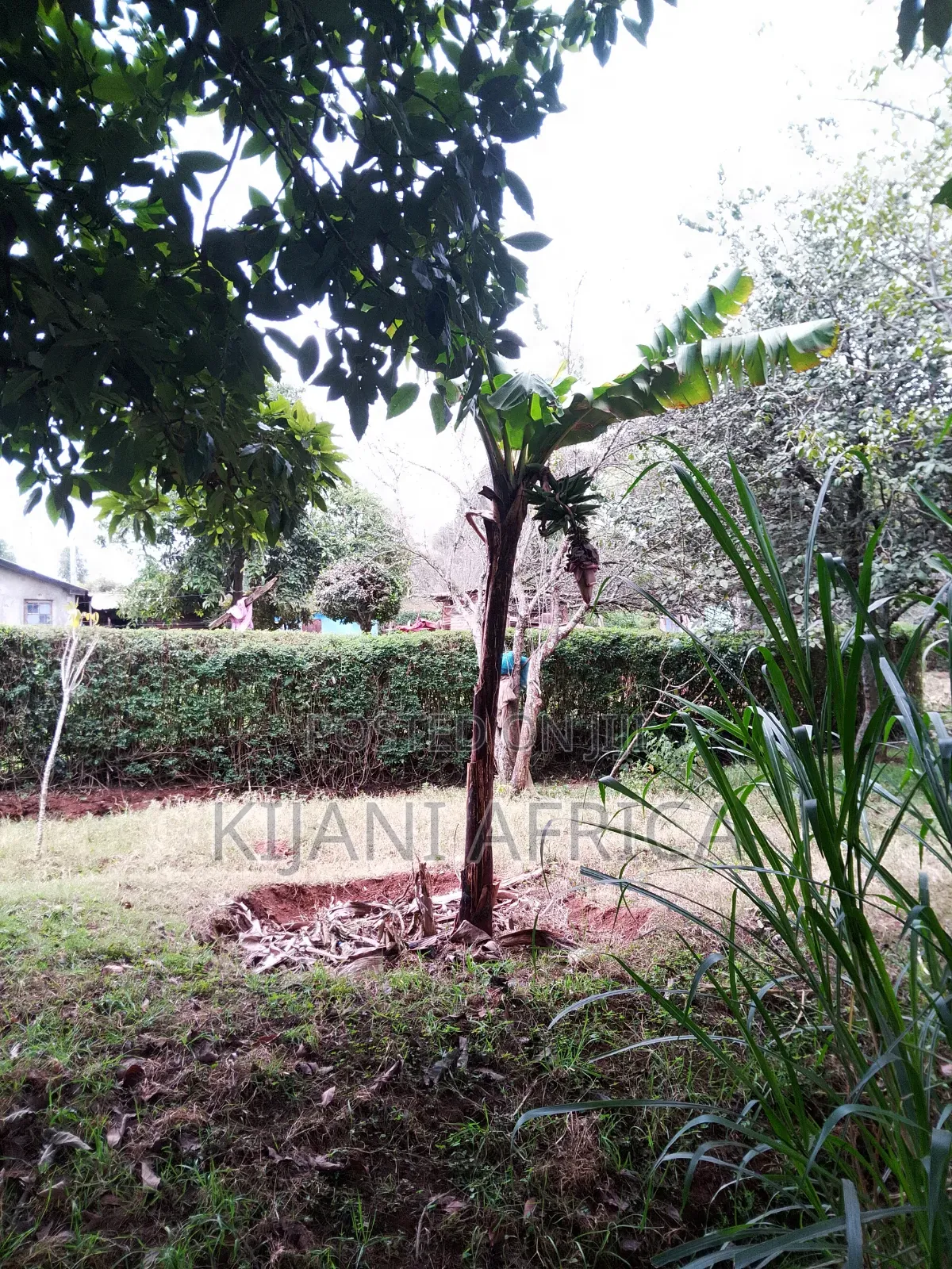 Two Acres for Sale in Nderi-Teikuni Village
