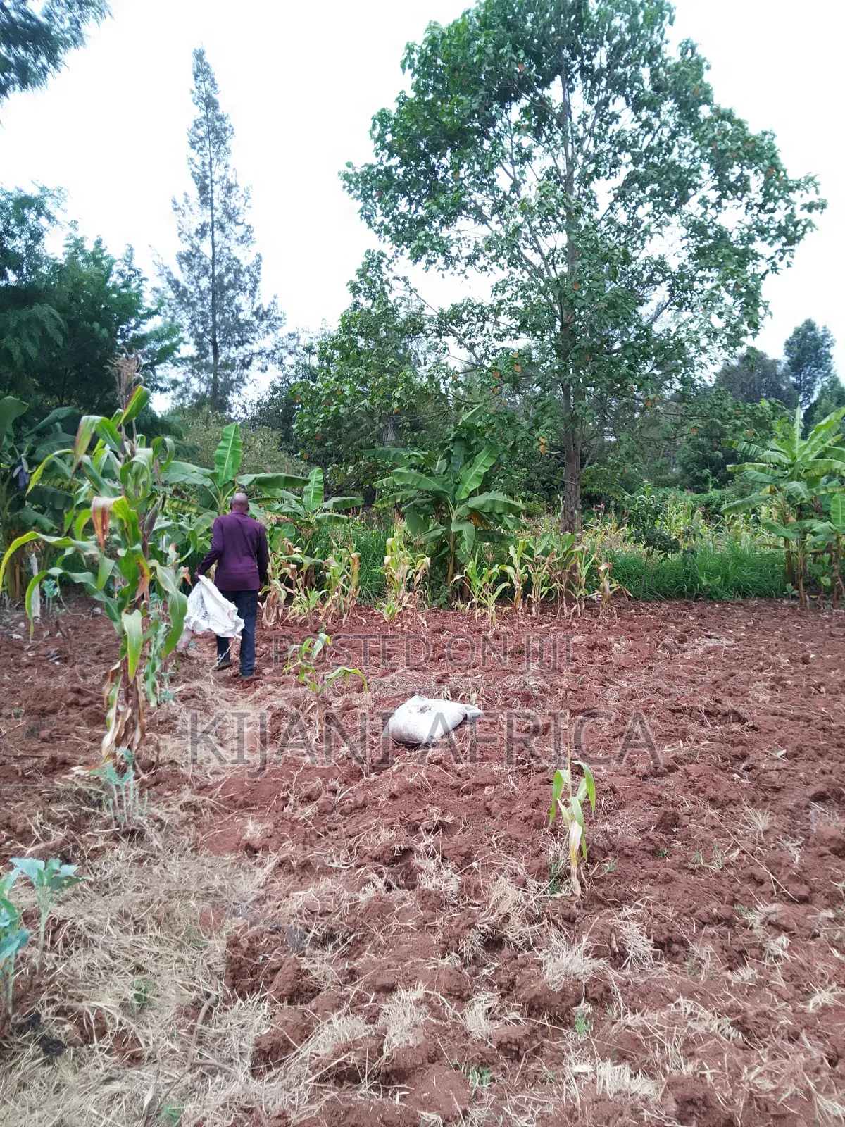 Two Acres for Sale in Nderi-Teikuni Village