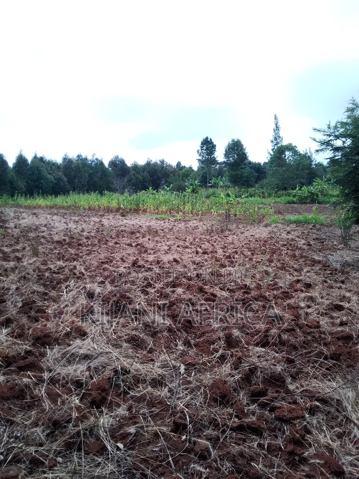 Two Acres for Sale in Nderi-Teikuni Village