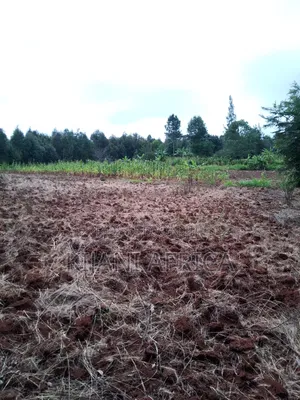 Two Acres for Sale in Nderi-Teikuni Village