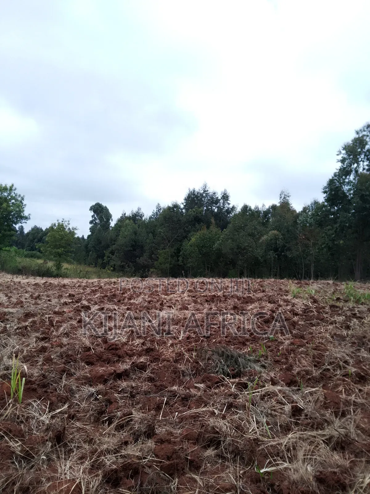 Two Acres for Sale in Nderi-Teikuni Village