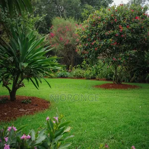 Landscaping Services