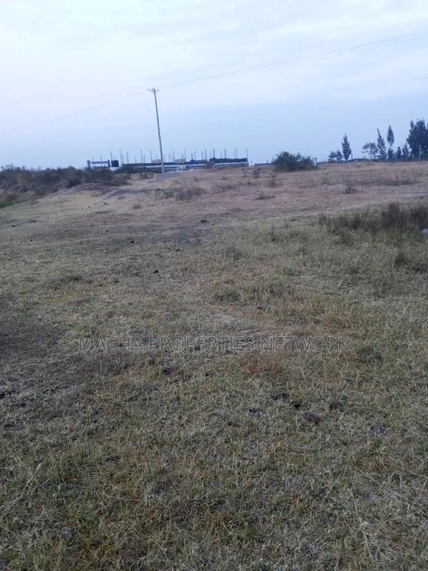 3 Joint(3 Plot)50by 100ft With Separate Title Deed Fronting Tarmac Rd - thumbnail 4