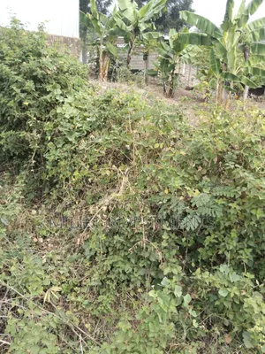35 Acres of Land on Sale at SabaSaba -Igikiro Area