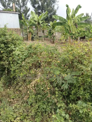35 Acres of Land on Sale at SabaSaba -Igikiro Area