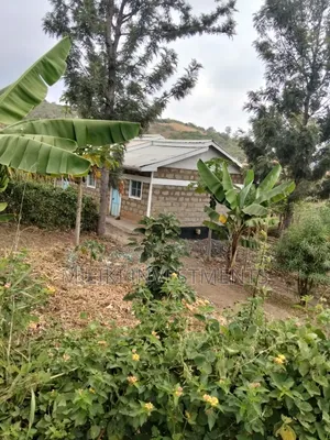 35 Acres of Land on Sale at SabaSaba -Igikiro Area