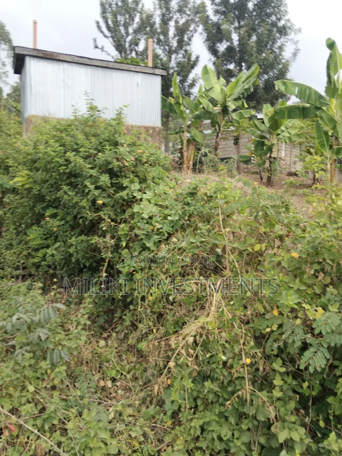 35 Acres of Land on Sale at SabaSaba -Igikiro Area