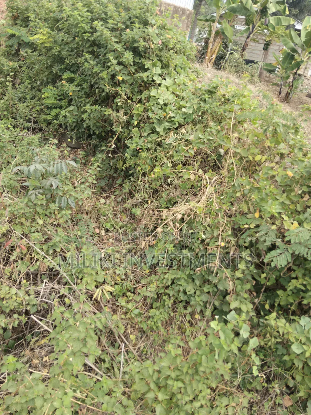 35 Acres of Land on Sale at SabaSaba -Igikiro Area